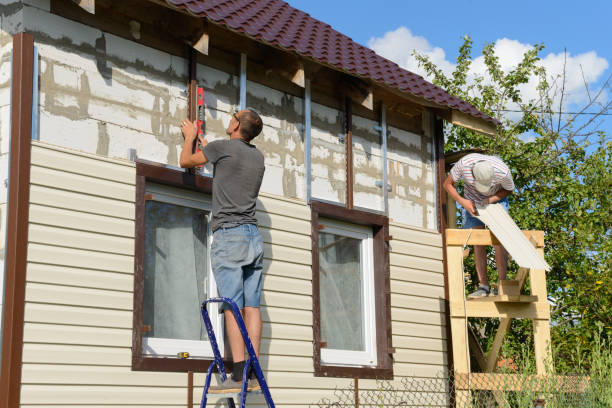 Trusted Steeleville, IL Junk Removal Experts